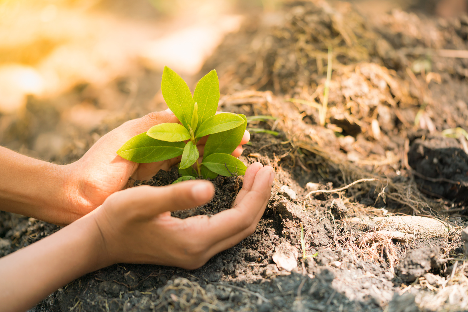 Earth Day, a day of education about environmental issues concepts.